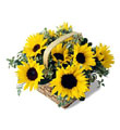 The FTD� Sunflower Basket