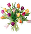 15 Stem Mixed Tulip Bouquet